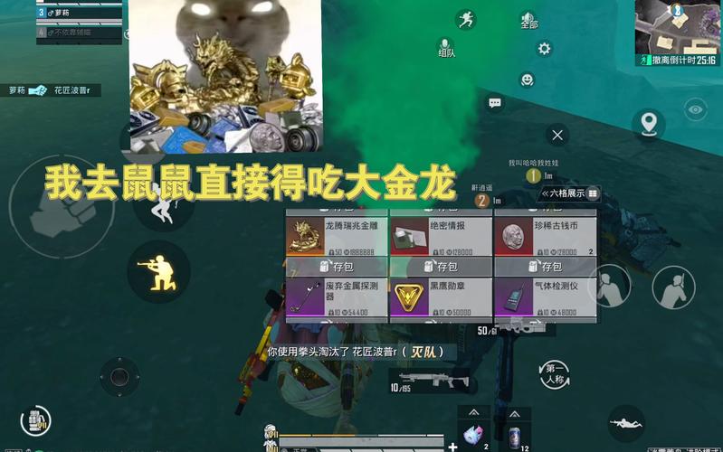 和平精英Mini14金鼠迎春皮肤全攻略,快速获取秘籍及趣味玩法揭秘