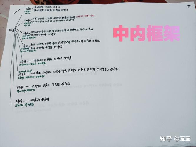 医考帮奇遇,小红书激活码冒险之旅手游资讯大揭秘