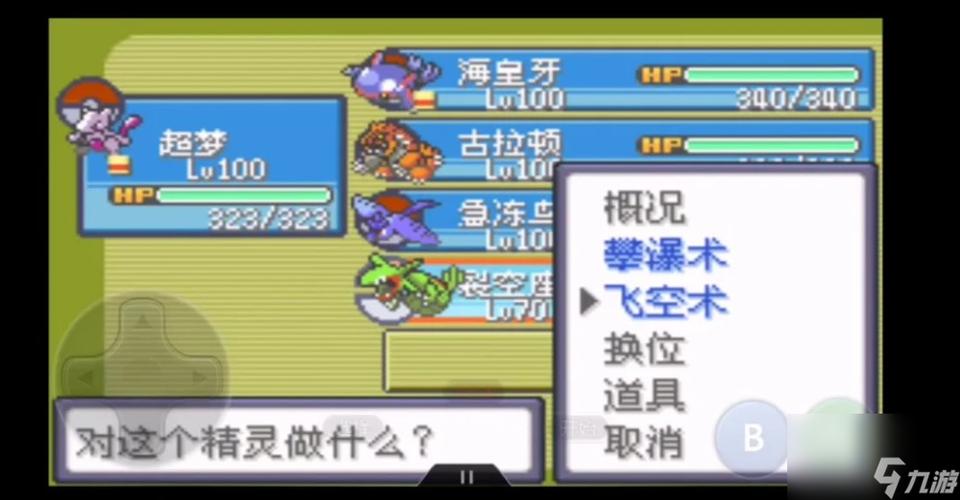 口袋妖怪漆黑的魅影5.0ex+bw深度图文攻略,探索未知,捕捉传奇精灵的奇幻之旅