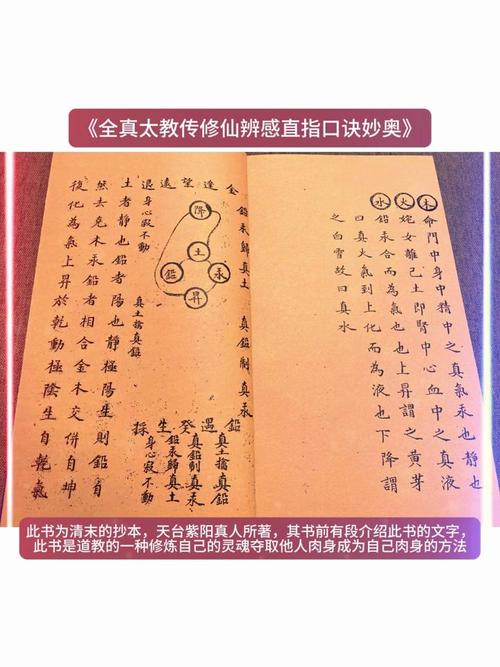 神仙道揭秘,仙令速获秘籍与实战效用全攻略