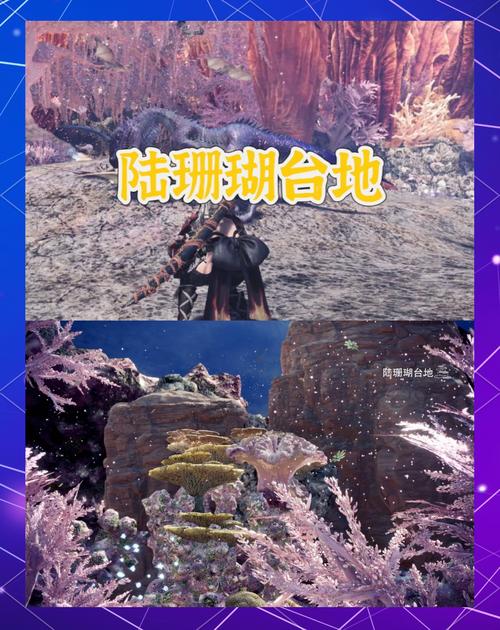 怪物猎人崛起解锁营地全攻略，探险与建设并进的奇幻之旅