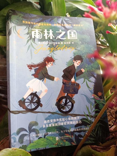 龙之国物语隐藏任务全攻略,解锁未知奇遇,探索奇幻冒险新篇章