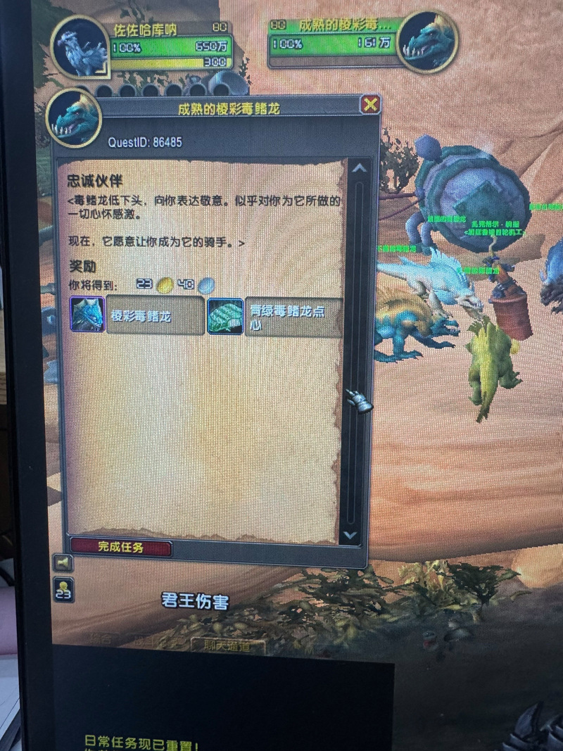 魔兽世界手游版,探索神秘瑰宝,与宠物玉龙共赴奇幻之旅