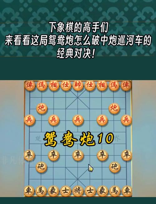 象棋大师对决,对方进攻中路破解策略与趣味玩法揭秘