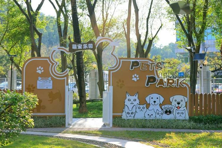萌宅物语国际汉化版下载指南,打造你的专属宠物乐园