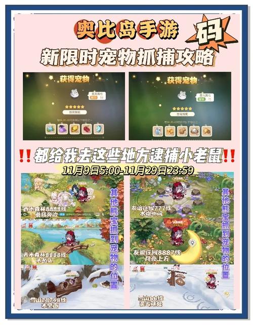 奥比岛手游深度解析,如何开启宠物的家及趣味玩法大揭秘
