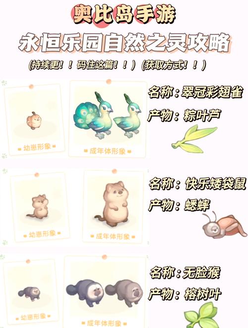 奥比岛手游深度解析,如何开启宠物的家及趣味玩法大揭秘