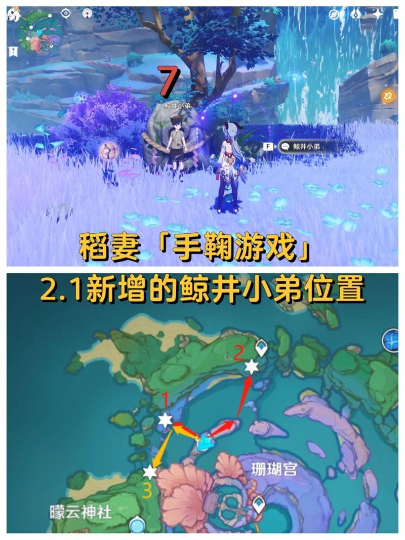 原神手鞠游戏珊瑚宫位置全攻略及趣味玩法揭秘