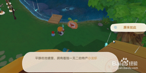 摩尔庄园手游小龙虾垂钓秘籍与趣味玩法大揭秘