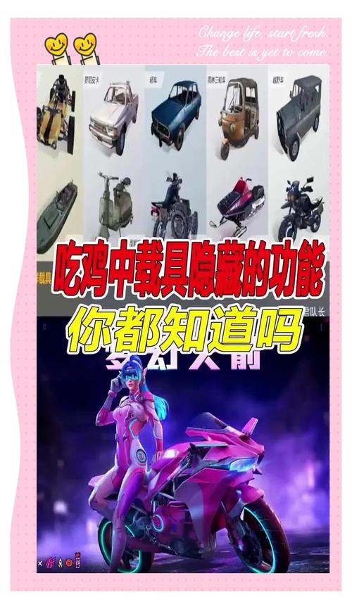 绝地求生全军出击防具耐久度深度剖析,策略生存新玩法揭秘
