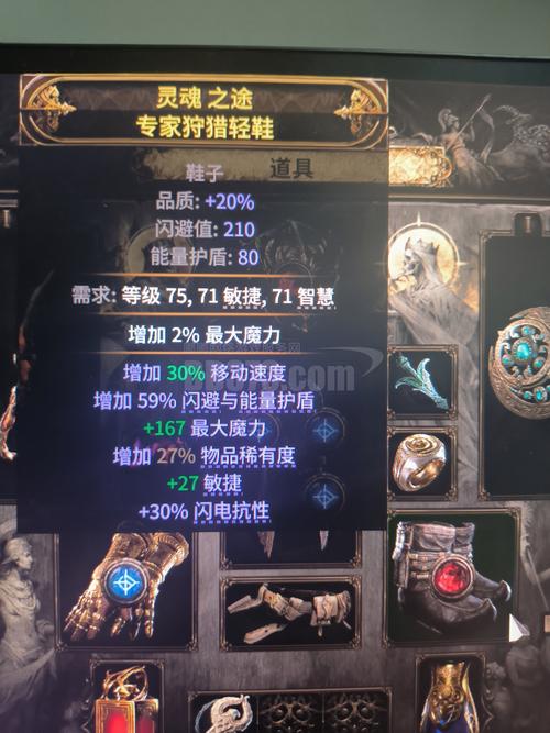 流放之路2全面解析,如何显示装备孔与趣味玩法探索