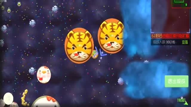 球球大作战迷雾大逃杀,雾中寻路,智勇对决,全新竞技体验震撼来袭!