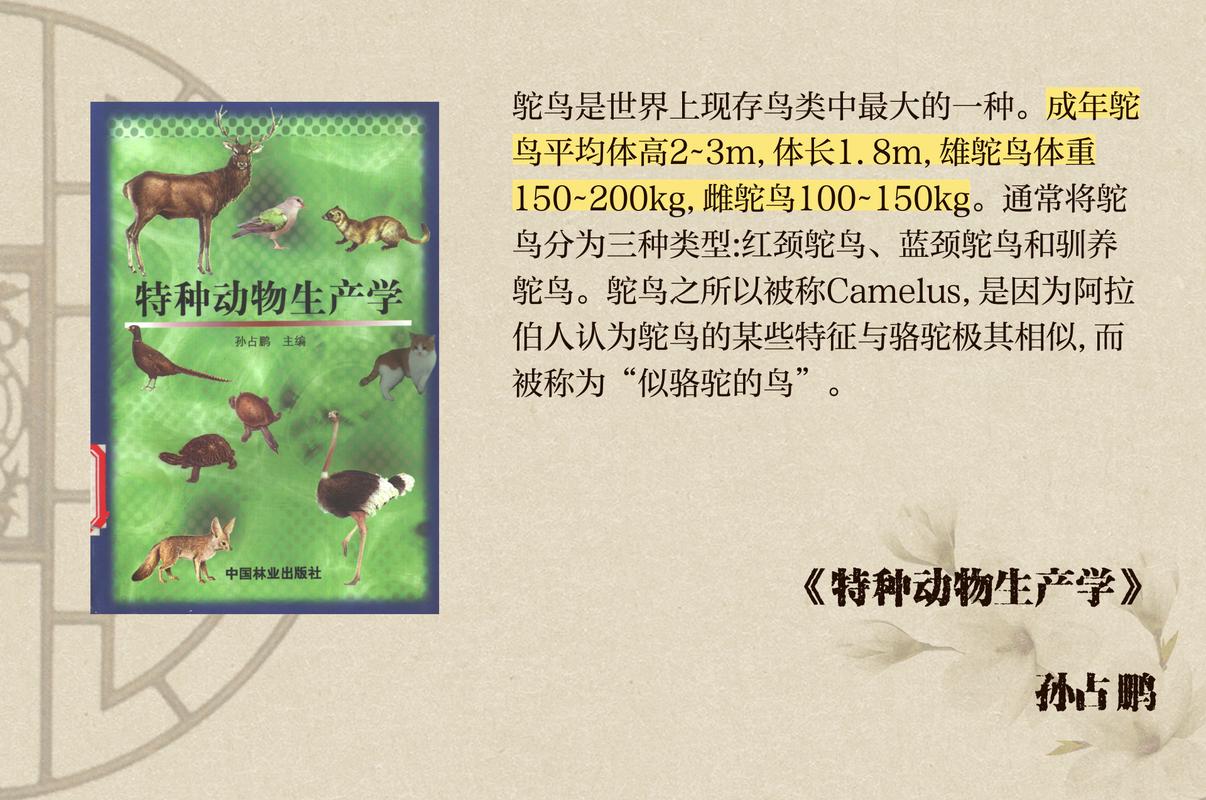 星露谷物语鸵鸟养殖深度解析,它们值得你倾心培育吗?
