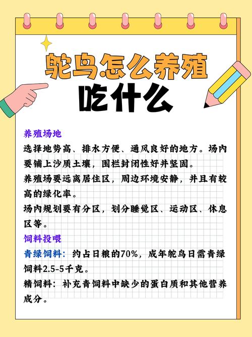 星露谷物语鸵鸟养殖深度解析,它们值得你倾心培育吗?