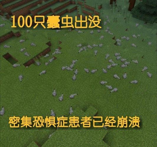 我的世界敌对生物蠹虫击败攻略，实战技巧与趣味策略大揭秘