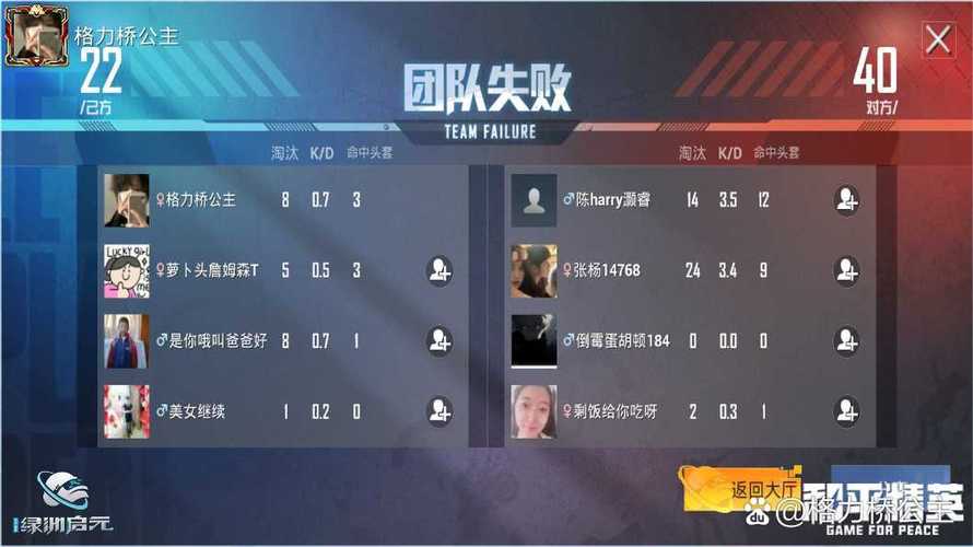 和平精英战绩查看揭秘，窥探高手秘籍而不被发现的艺术