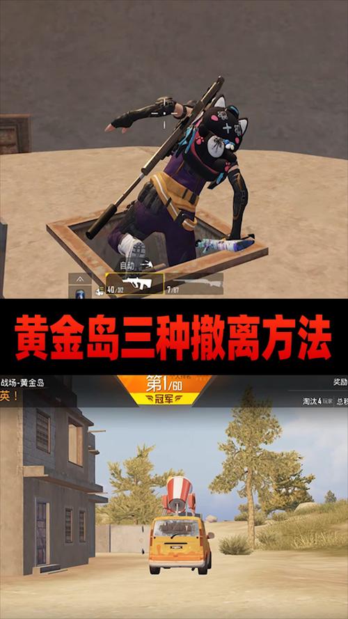 和平精英黄金岛玩法深度揭秘,双模式教学带你领略财富与策略的双重盛宴