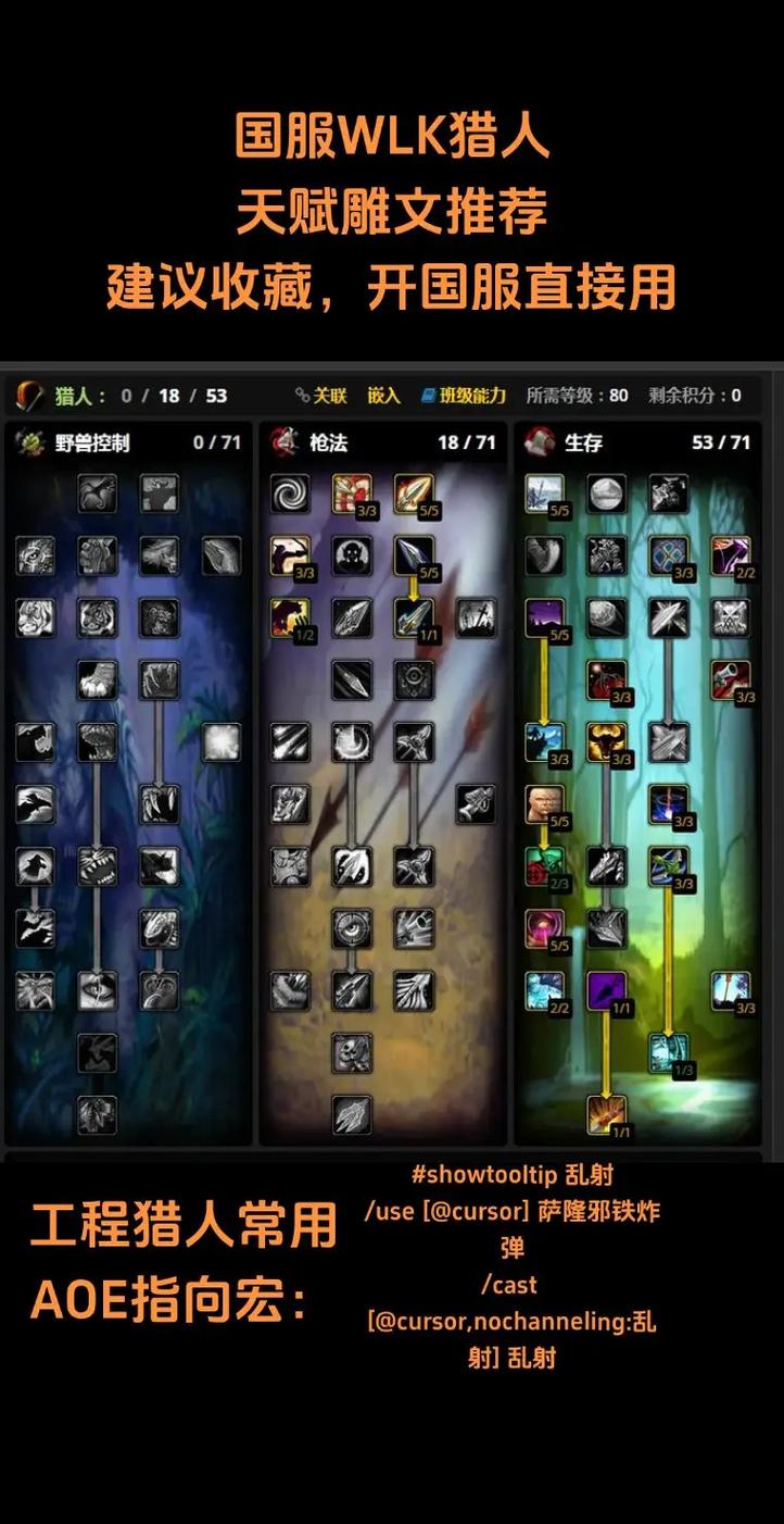 魔兽世界怀旧服巫妖王之怒,惩戒骑雕文全解析与深度攻略