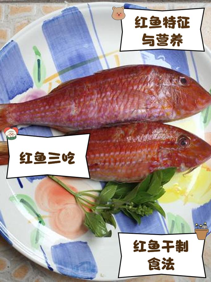 妄想山海美食探索,揭秘红鱼在菜谱中的神秘地位及趣味玩法