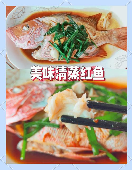 妄想山海美食探索,揭秘红鱼在菜谱中的神秘地位及趣味玩法