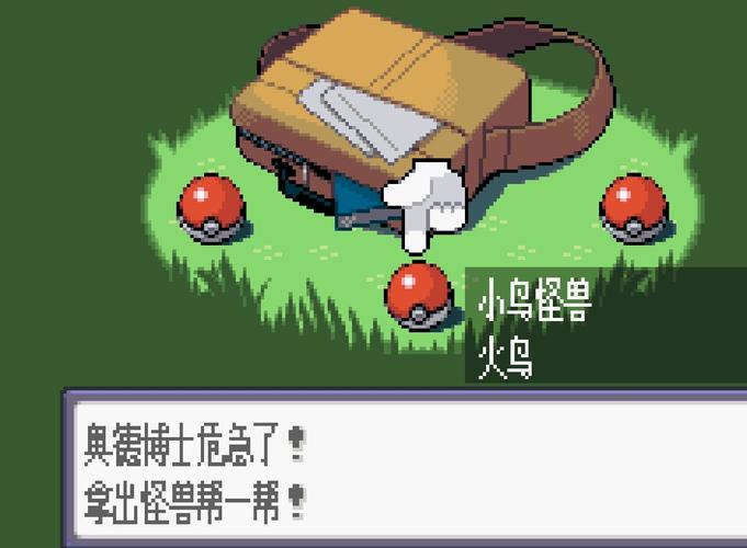 口袋妖怪XY电珠大作战,刷取攻略与乐趣探索的奇幻之旅