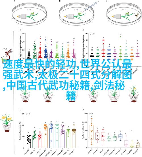 天命奇御天机刀法解锁攻略与实战运用深度探索,揭秘武林绝学的奥秘