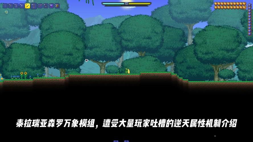 泰拉瑞亚深度探索,揭秘妖精套装ID与神秘魅力,解锁奇幻冒险新篇章