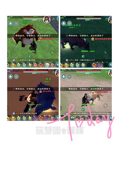 创造与魔法地基皮肤更换全攻略,步骤详解、注意事项与个性化DIY趣味玩法