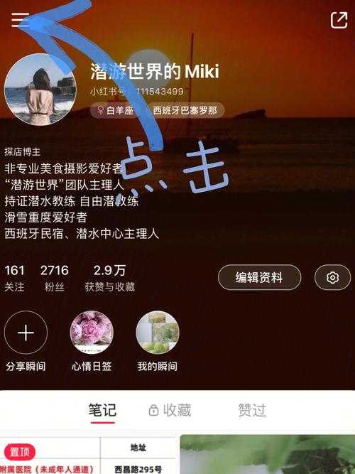 小红书专业号申请攻略,梦幻仙境手游资讯大揭秘及趣味玩法介绍