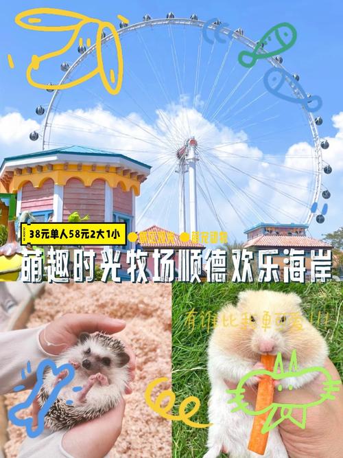 治愈幼犬育成,梦想乐园最新版下载——打造专属萌宠的温馨之旅