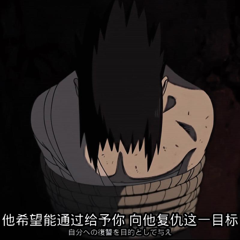 火影忍者手游揭秘,鼬为何钟爱乌鸦?深度玩法大揭秘!