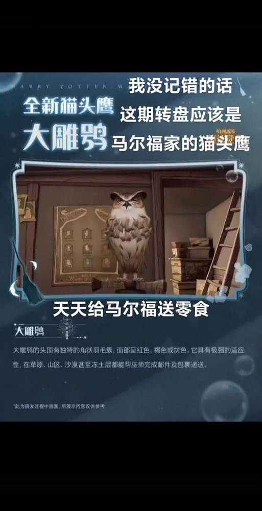 哈利波特魔法觉醒猫头鹰收集全攻略,解锁你的专属信使!