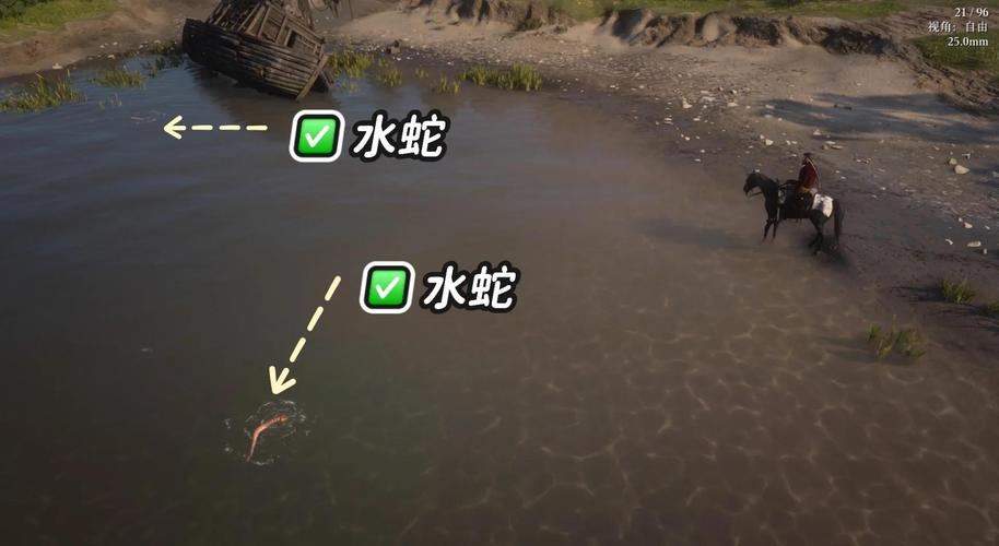 荒野大镖客2动物完美毛皮获得秘籍,解锁未知打猎技巧