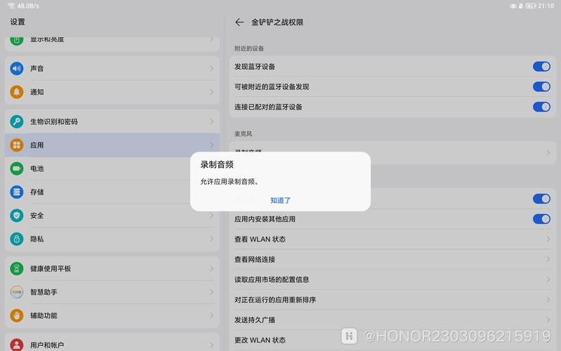 金铲铲之战麦克风权限开启攻略及趣味玩法揭秘