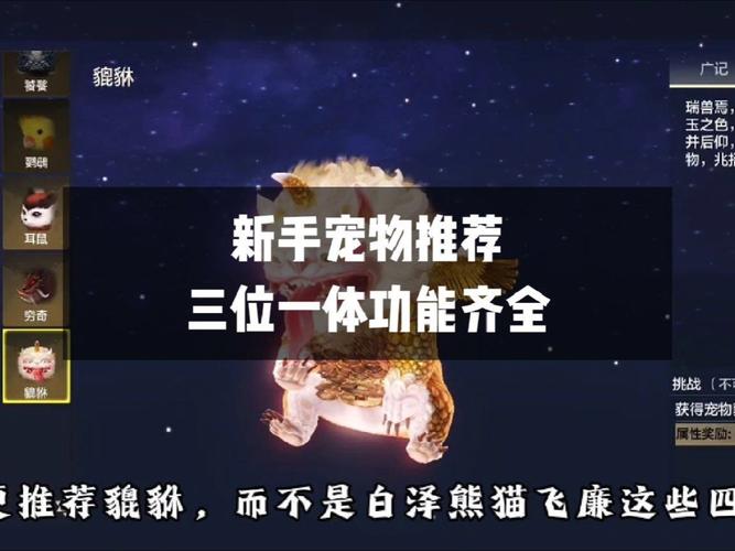 妄想山海朏朏进化全攻略,解锁你的飞行进化兽之旅