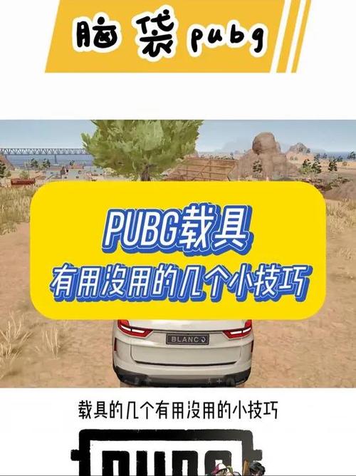 绝地求生刺激战场载具BUG全揭秘及趣味玩法探索