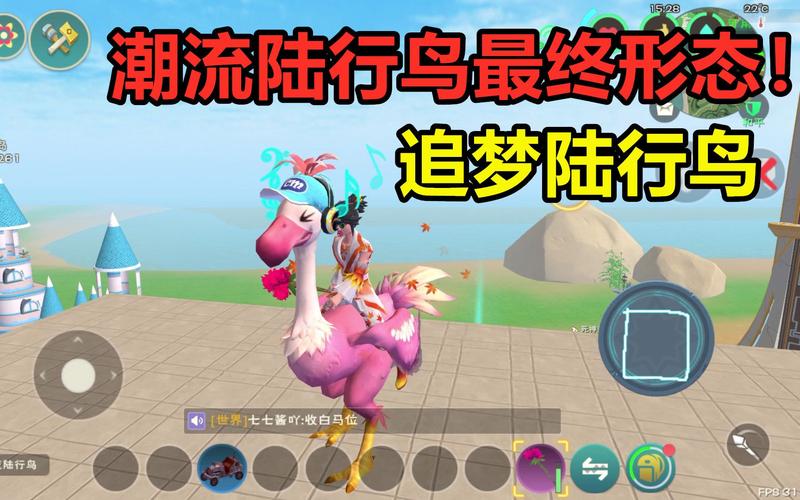 创造与魔法潮流陆行鸟捕捉攻略,揭秘捕捉次数与趣味玩法大揭秘