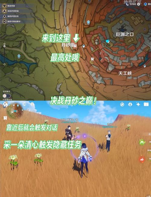原神里山中之物任务攻略,解锁隐藏秘境,探索无限乐趣!