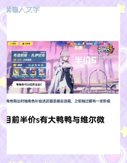 崩坏3现版本五位强力女武神觉醒后性价比深度解析及趣味玩法探索