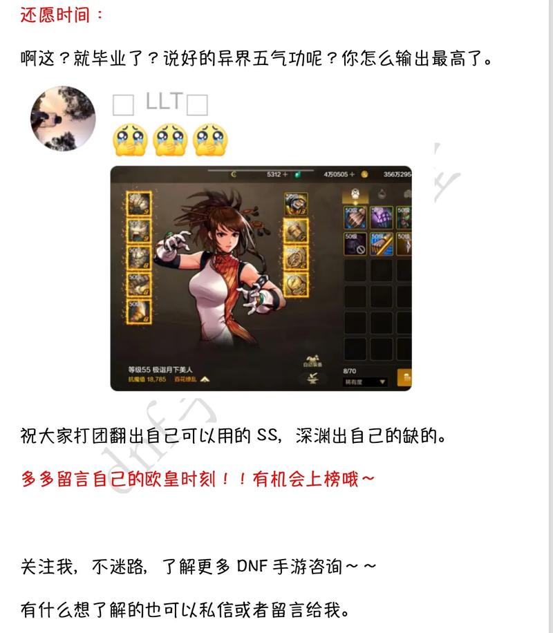 DNF手游冰结师冰霜掌控艺术新版本深度解析,冻结万物,重塑冰霜传奇