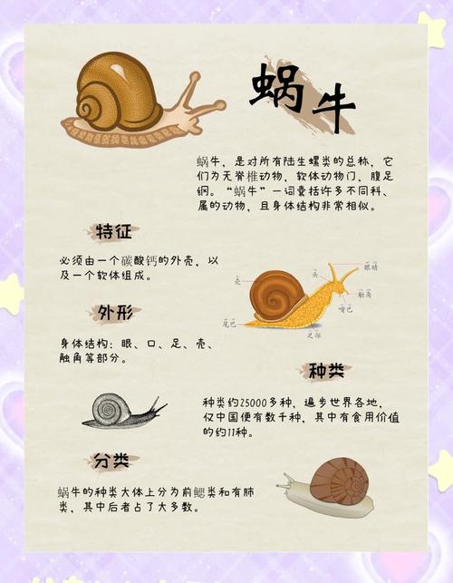 最强蜗牛解锁秘籍!河谷勘探玩法深度剖析与趣味揭秘