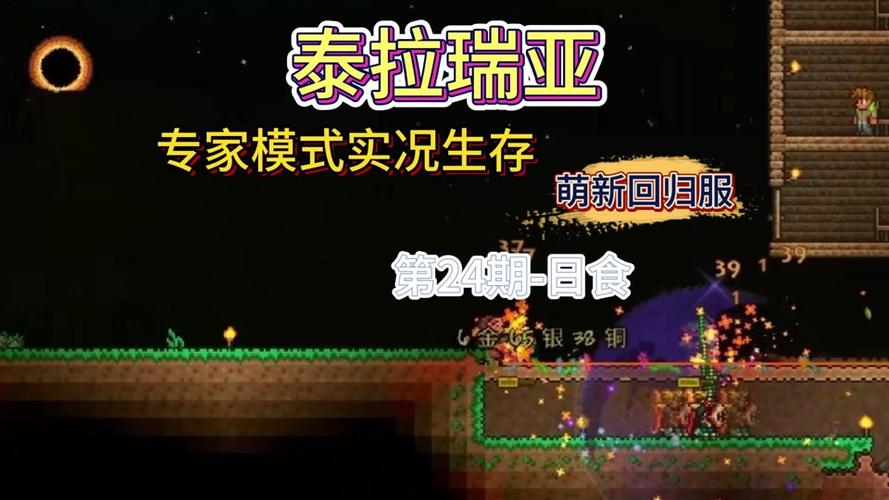 泰拉瑞亚生命果探测秘籍，探险者的终极福音，解锁未知世界的奇妙之旅