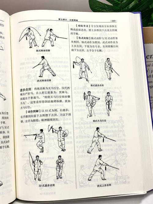 太极熊猫装备搭配技巧与趣味玩法深度解析攻略