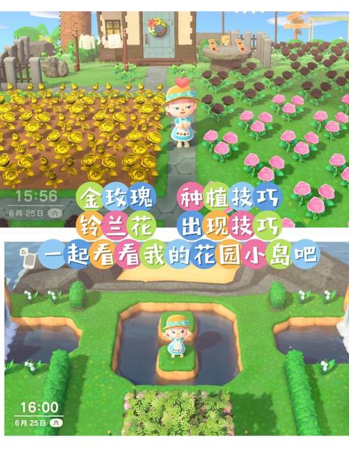 小森生活种植等级提升攻略，全面解锁高效升级方法与趣味玩法