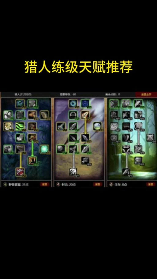 魔兽世界WLK怀旧服,生存猎人最佳输出循环宏全攻略