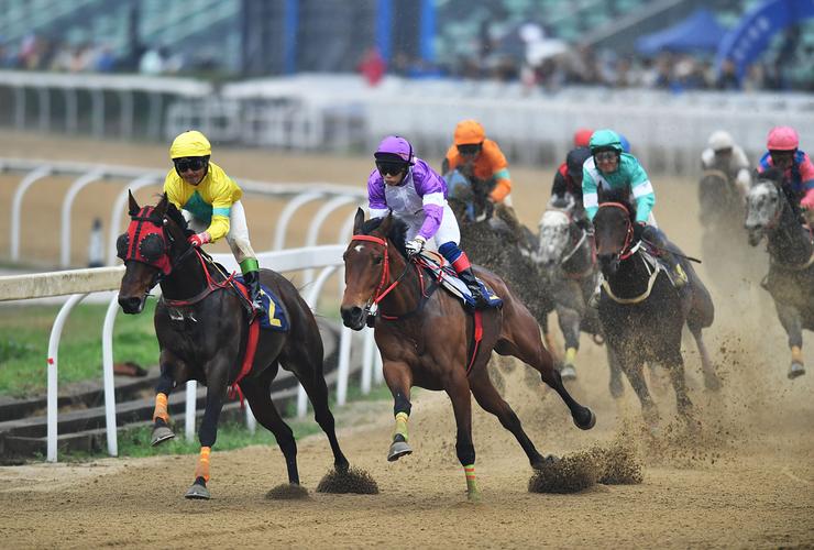 武力赛马HorseForce震撼登场，体验骑马竞技的极致快感！