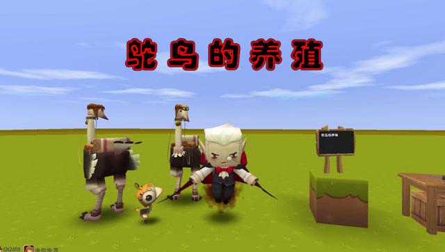 迷你世界手游资讯，掌握鸵鸟驯服与养殖小技巧，开启趣味养殖之旅