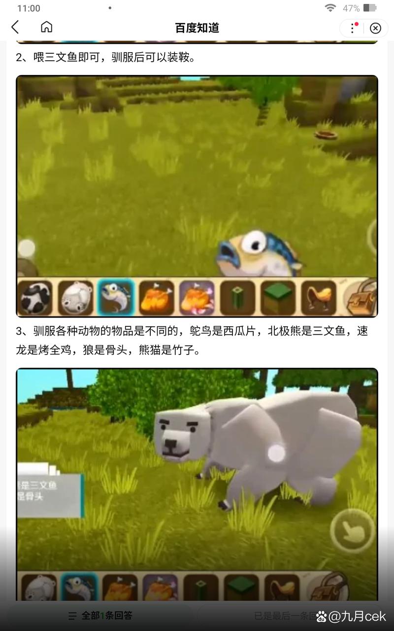 迷你世界手游资讯,掌握鸵鸟驯服与养殖小技巧,开启趣味养殖之旅