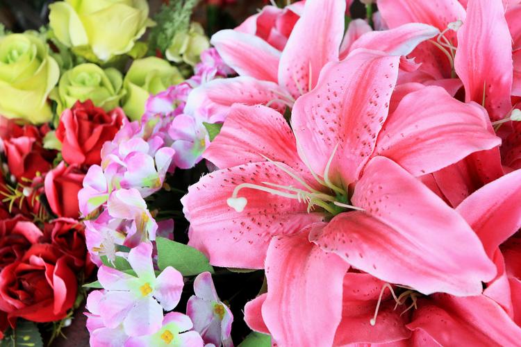 桃源深处有人家粉色百合花获取攻略全解析及趣味玩法探索