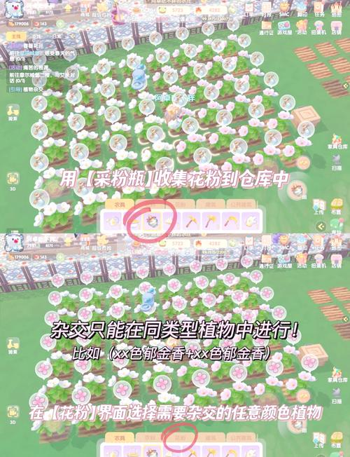 摩尔庄园手游毛毛花轻松获取指南,解锁收集乐趣,教你成为庄园收集达人